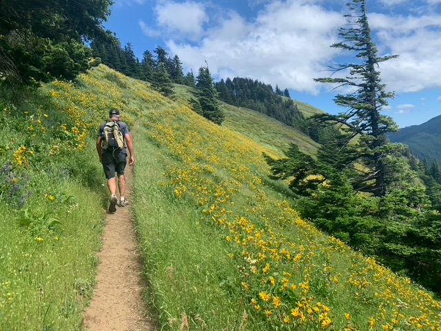 Walking through wildflowers